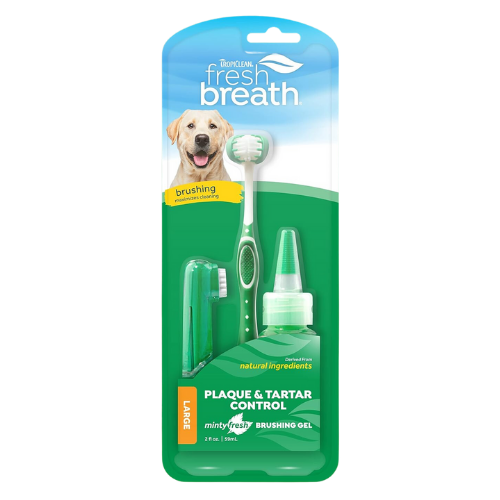 ORAL CARE KIT FOR REGULAR DOGS