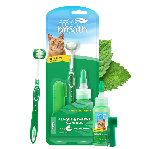 ORAL CARE KIT FOR CATS