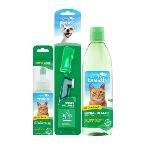 KIT CUIDADO DENTAL PARA GATOS