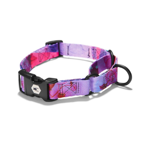 WOLFGANG COLLAR MARTINGALE DAYDREAM L