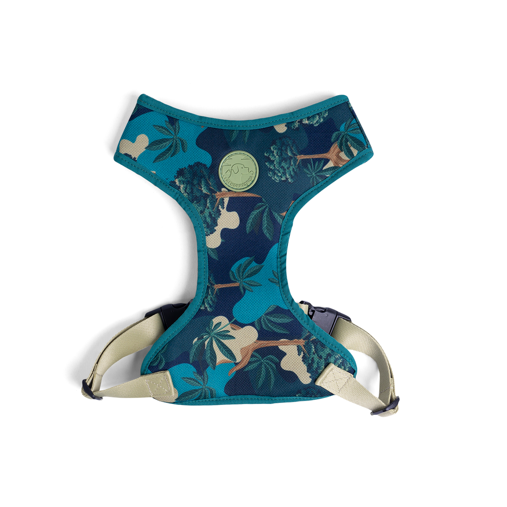 CACHORREIROS ARNES FLOW SAMAUMA TALLA P - S