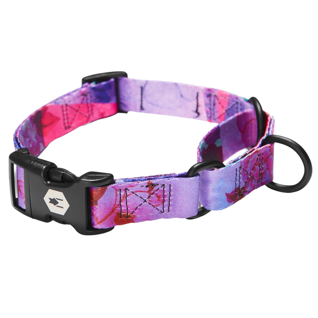WOLFGANG COLLAR MARTINGALE DAYDREAM S