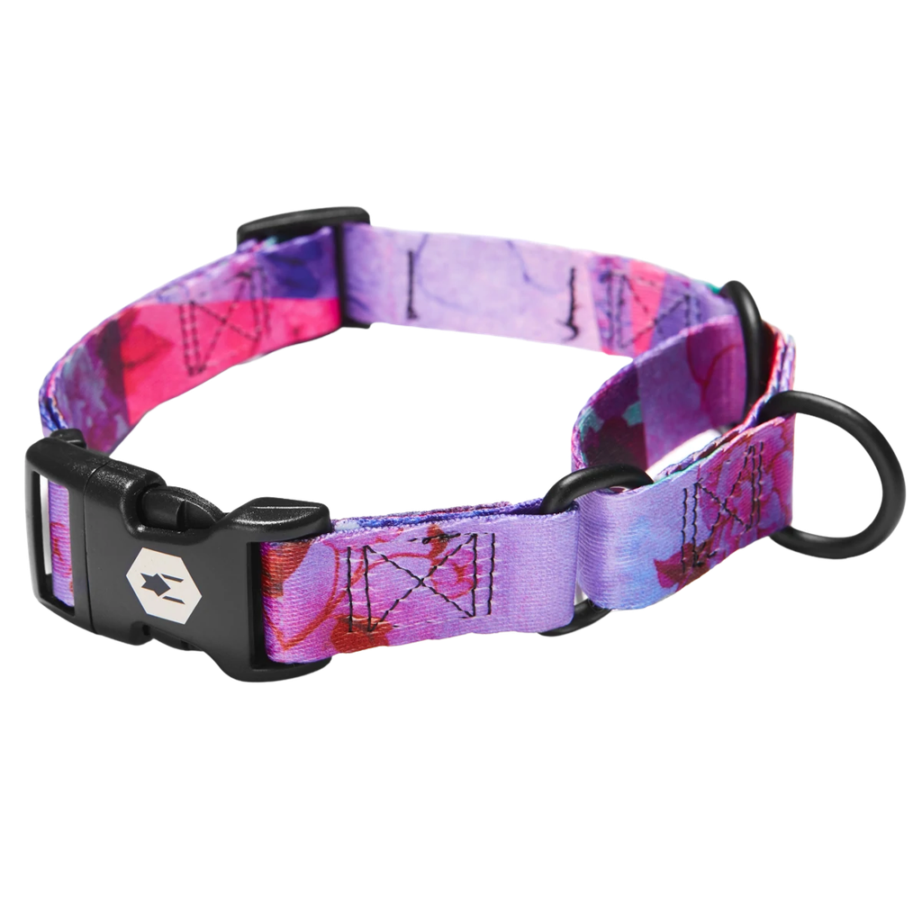 WOLFGANG COLLAR MARTINGALE DAYDREAM M