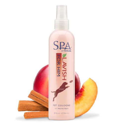 SPA FOR HIM COLOGNE 236ML