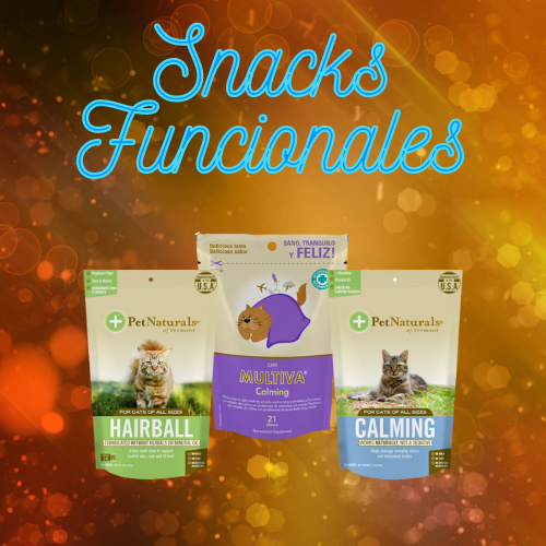 Gatos / Snacks / Snacks Funcionales