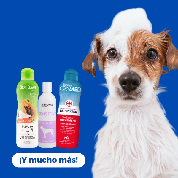 Perros / Limpieza