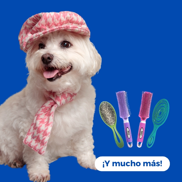 Perros / Belleza