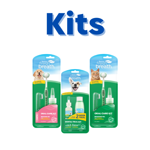 Higiene Bucal / Kits