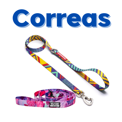 Perros / Accesorios / Correas