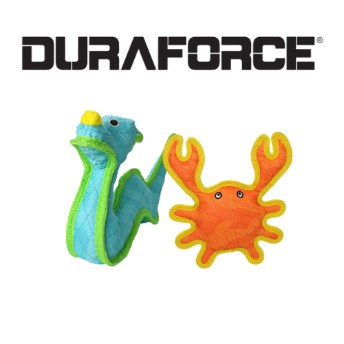 Perros / Entretención / Juguetes / DURAFORCE