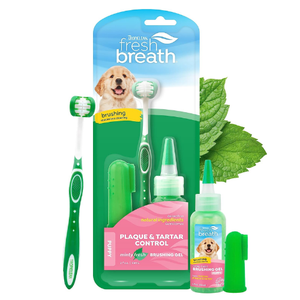 [TR-75] ORAL CARE KIT FOR PUPPIES