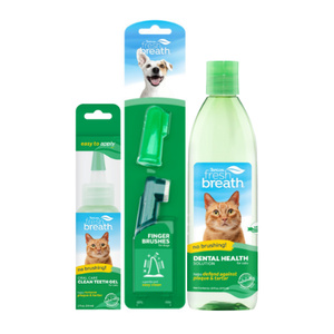 [KIT-10] KIT CUIDADO DENTAL PARA GATOS