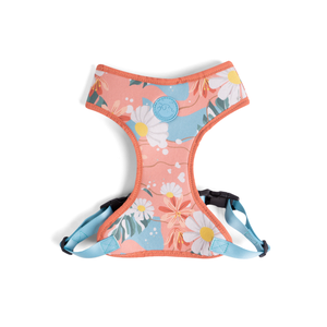 [CA-080] CACHORREIROS ARNES FLOW FLORAL TALLA G - L