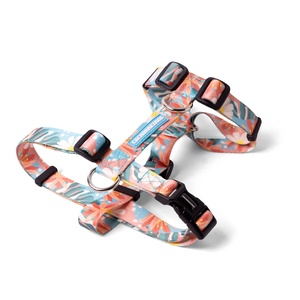 [CA-082] CACHORREIROS ARNES H FLORAL TALLA PP - XS