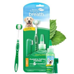 [TR-46] TROPICLEAN ORAL CARE KIT FOR REGULAR DOGS