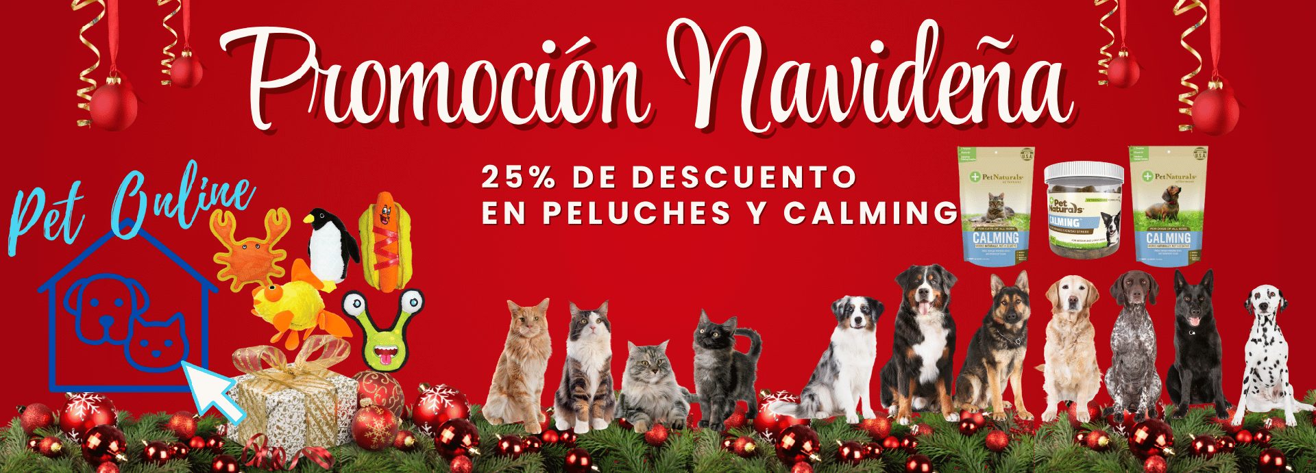 Promoción Navideña