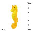 MIGHTY JR OCEAN SEAHORSE