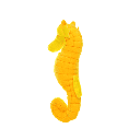 MIGHTY JR OCEAN SEAHORSE