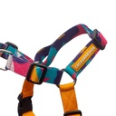 CACHORREIROS ARNES ANTITIRONES DOGE TALLA P - S