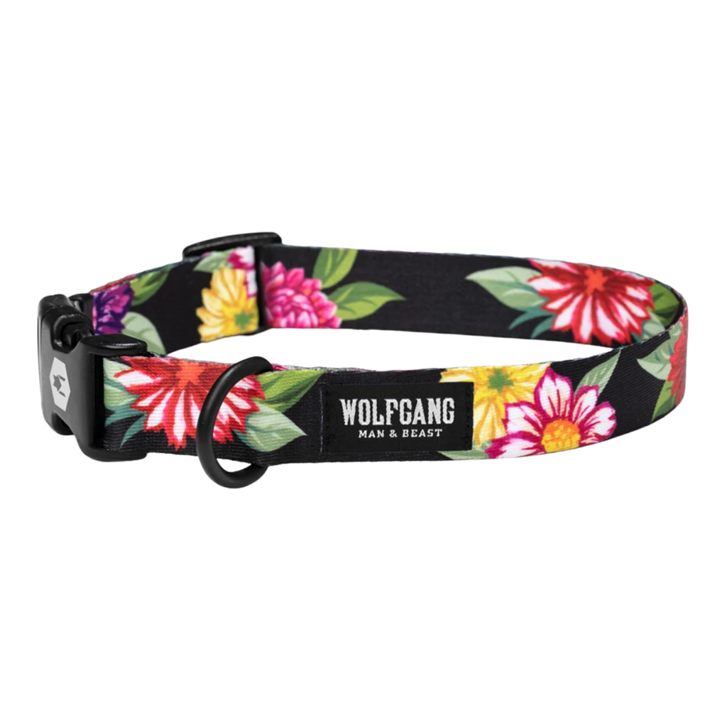 WOLFGANG COLLAR DARKFLORAL S