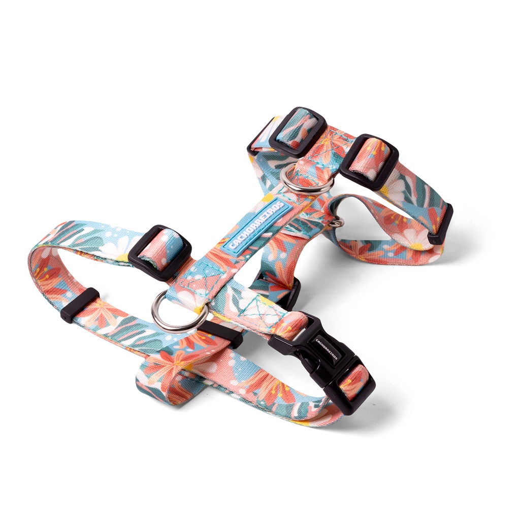 CACHORREIROS ARNES H FLORAL TALLA P - S