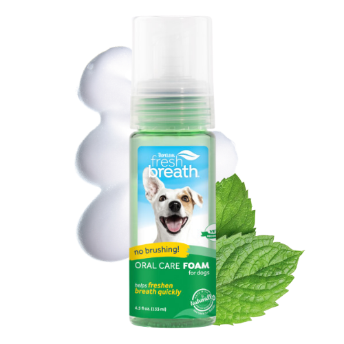TROPICLEAN FRESH MINT FOAM 133ML