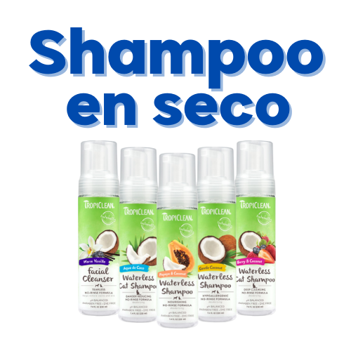 Higiene / Shampoo en Seco