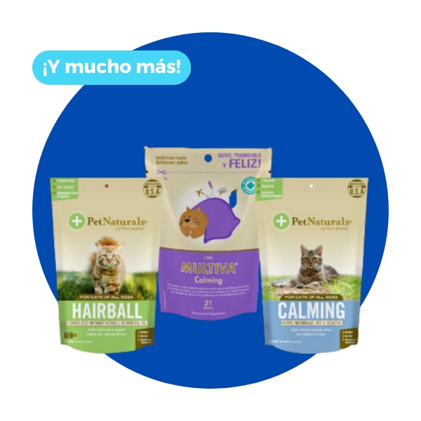 Gatos / Snacks