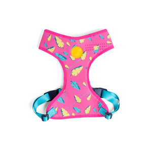 [CA-098] CACHORREIROS ARNES FLOW OLIVIA TALLA M