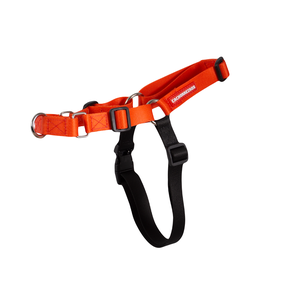 [CA-119] CACHORREIROS ARNES ANTITIRONES RED TALLA P - S