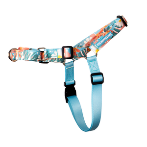 [CA-074] CACHORREIROS ARNES ANTITIRONES FLORAL TALLA P - S