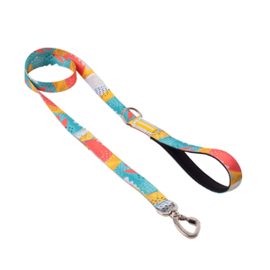 [CA-307] CACHORREIROS SUPER GUIA CORREA GRANDE PITAYA
