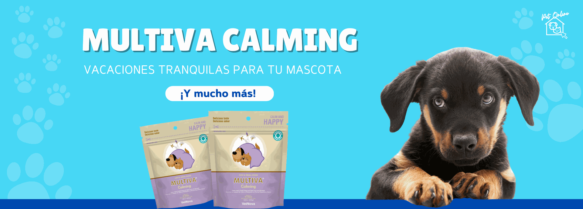 Multiva