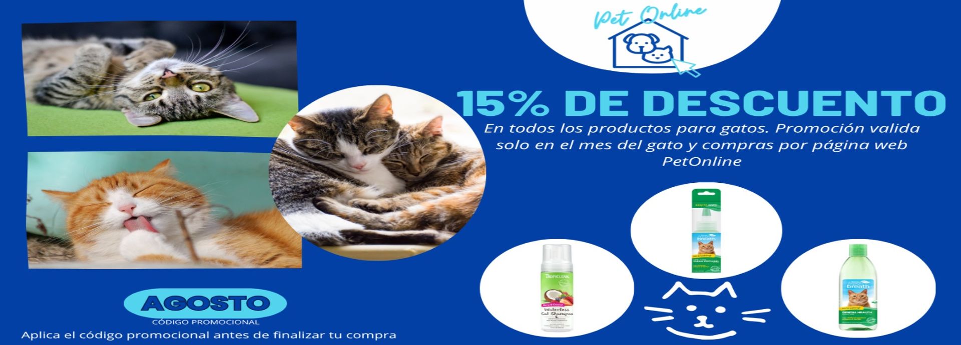 Promoción mes del gato